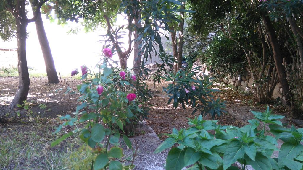 Pag studio Garden Pag Town Exterior foto